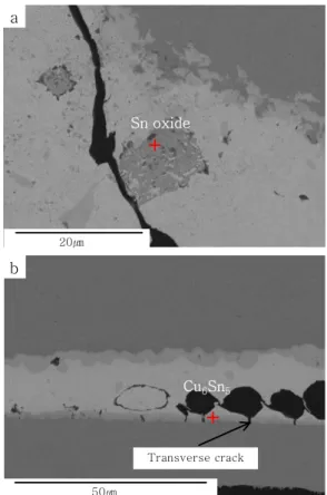 Fig. 13  Crack initiation site of (a) SAC305 tested for 48h 