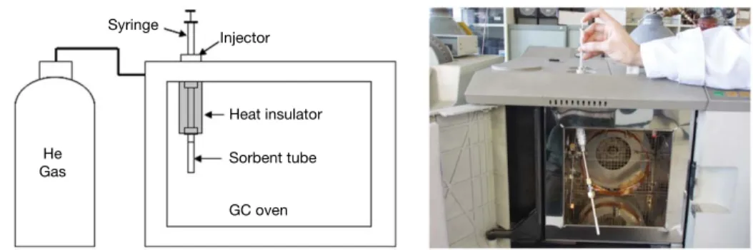 Fig. 3. Spiking of liquid standards onto adsorbent tubes through a GC packed column injector.