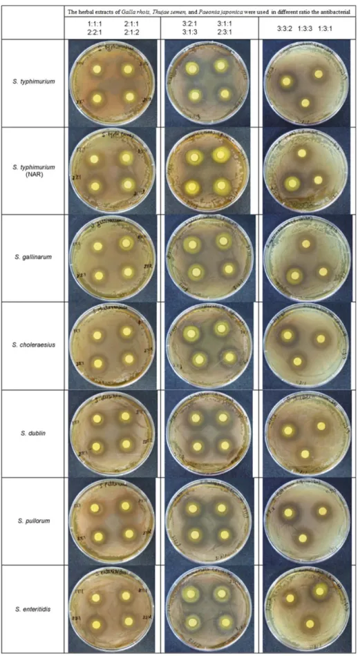 Fig. 2. The antibacterial effects of the natural antibiotics present in the different plant extract against E