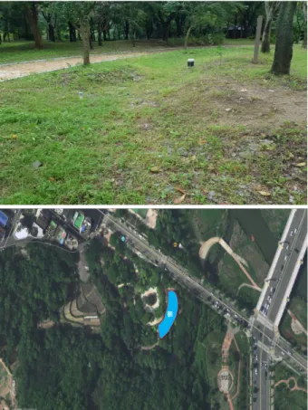 Fig. 1. Monitoring site for modeling.