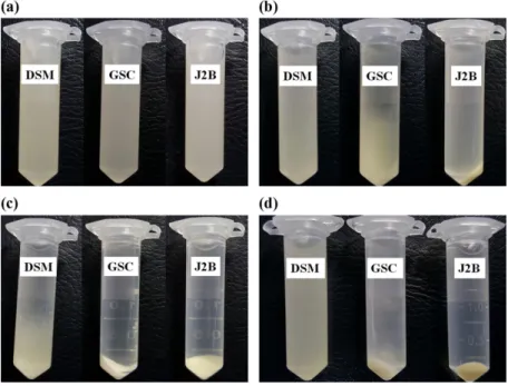 Fig. 1. Comparison of the sedimentation property of DSM, GSC021 and J2B strains. The cultures of three strains were examined without centrifugation (a), centrifuged at 5000 rpm for 2 min (b), centrifuged at 5000 rpm for 10 min (c) and inverted once after c