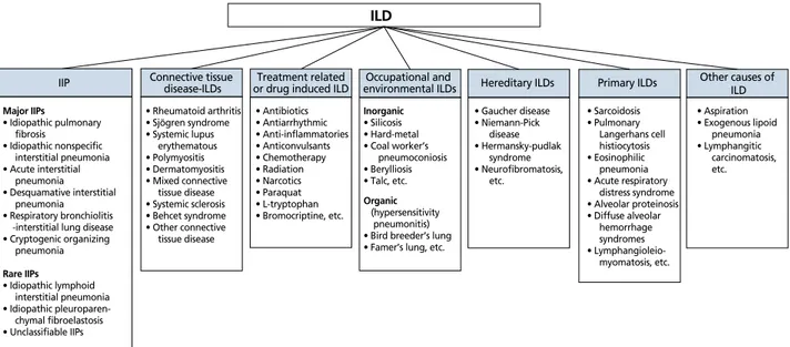 Figure 1.  Classification of interstitial lung diseases (ILDs). IIP, interstitial idiopathic pneumonia