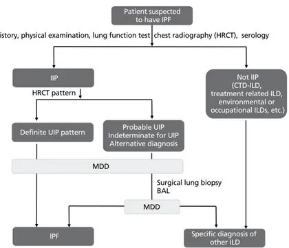 Figure 4.  Diagnostic algorithm for idiopathic pulmonary fibrosis (IPF). HRCT, high-resolution computed to- to-mography; IIP, idiopathic interstitial pneumonia; CTD, connective tissue disease; ILD, interstitial lung disease;  UIP, usual interstitial pneumo