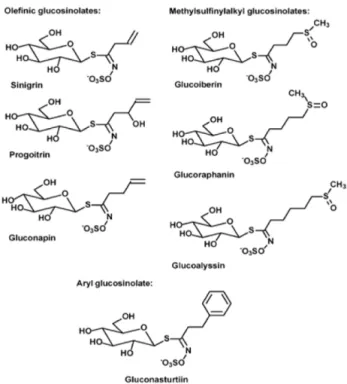Fig. 1. Molecular structures of glucosinolates.