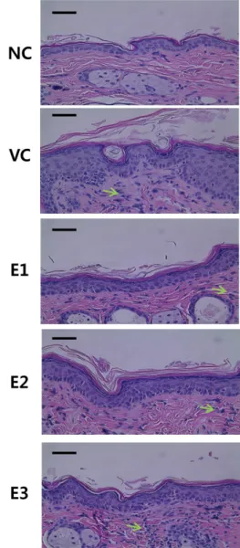 Fig. 2. Effects of the 7-MEGA TM