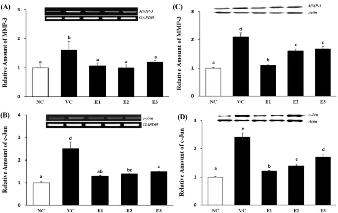 Fig. 4. Effect of the 7-MEGA TM