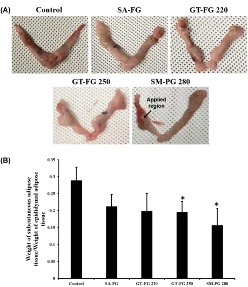 Fig. 2. Effect of microneedles (MNs) on the shape and weight of subcutaneous adipose tissue  (SAT)  in  rats  with  high-fat diet  (HD)-