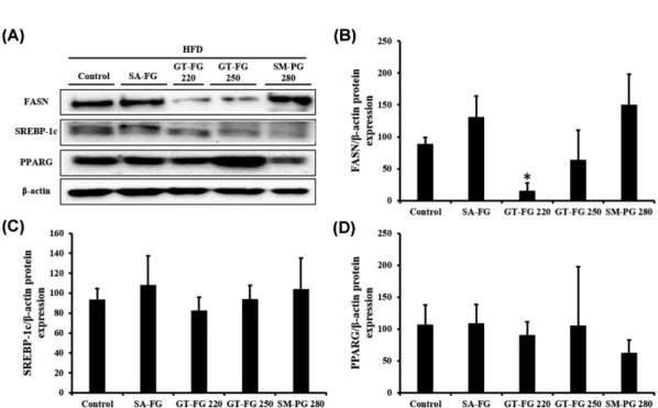 Fig. 4. Effects of microneedles (MNs) on the protein expression of adipogenic and lipogenic genes in the subcutaneous adipose