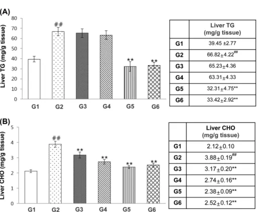Fig. 2. Effects of theracurmin on the accumulation of hepatic TG and CHO in HFD-fed mice