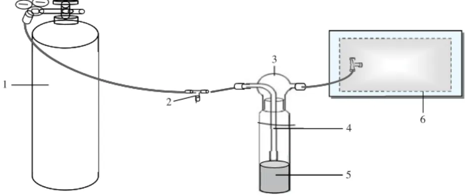 Fig. 1. Illustration of sampling device and impinger system. 1. Ultra pure air (99.999%); 2