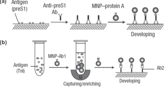 Fig. 4. An electrochemical aptasensor for reagentless protein detection. Reprinted with permission from [29]