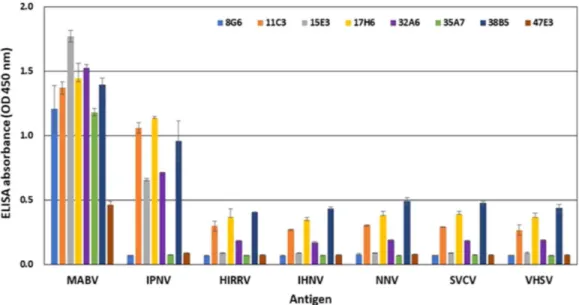 Fig.  2.  Specificity  analysis  of  eight  monoclonal  antibodies  (8G6,  11C3,  15E3,  17H6,  32A6,  35A7,  38B5,  and  47E3)  using  ELISA  against  seven  fish  viruses  (MABV,  IPNV,  HIRRV,  IHNV,  NNV,  SVCV,  and  VHSV).