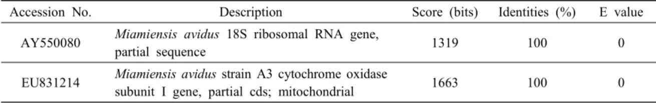 Table  1.  Output  of  BLAST  for  scuticociliate