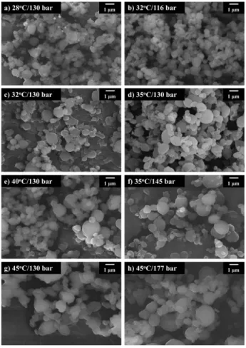 Fig. 3. SEM micrographs of various gemcitabine-loaded Gem- Gem-PLLA/PLLA microparticles prepared at different temperatures and pressures: (a) 28 o C/130 bar, (b) 32 o C/116 bar, (c) 32 o C/130 bar, (d) 35 o C/130 bar, (e) 40 o C/130 bar, (f) 35 o C/145 bar