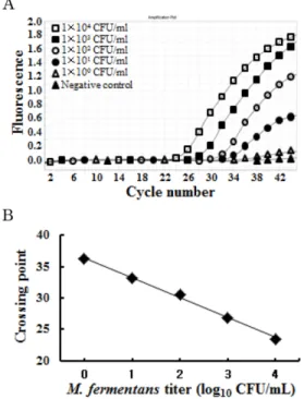 Table 3. Linear regression analysis of amplification plots obtained with 10-fold serial dilutions of mycoplasma species Mycoplasma