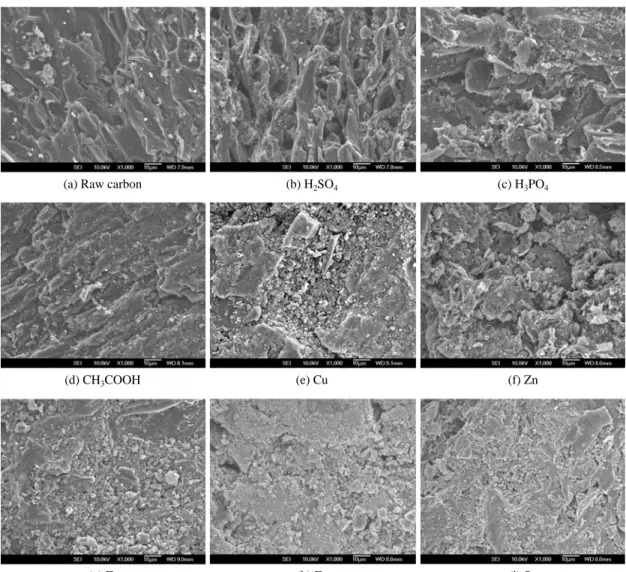 Fig. 5. Micrograph of modified activated carbons enlarged 1000× ×.