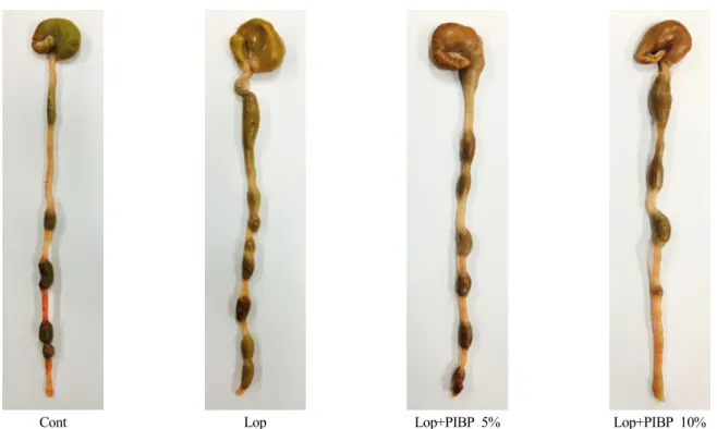 Fig.  1.  Effect  of  PIBP  on  the  number  of  fecal  pellets  in  the  colon  of  rats  at  3  days  after  loperamide  administration.