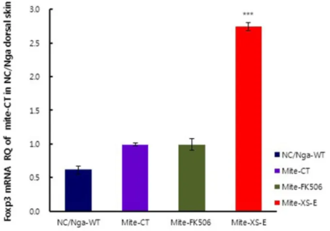 Fig. 4. Effects of XS-E treatment on Foxp3 +  mRNA expression in dorsal skin tissue in atopic dermatitis-like NC/Nga mice induced by Mite extract.