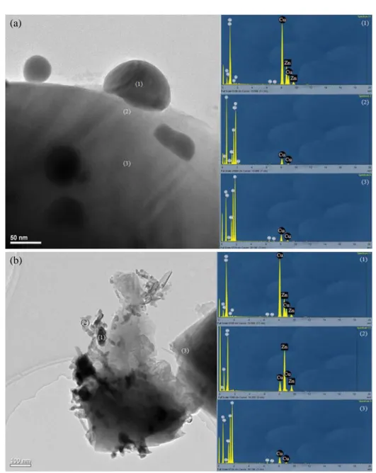 Fig. 2. TEM images and EDS spectra of CuO-ZnO/M catalyst prepared with 25.7% (w/v) precursor concentration