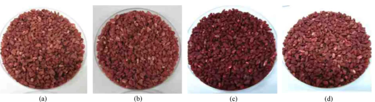 Fig. 6. Concentration of active and inactive monacolin K in red mold rice after solid state fermentation of Monascus strains for 10 days.