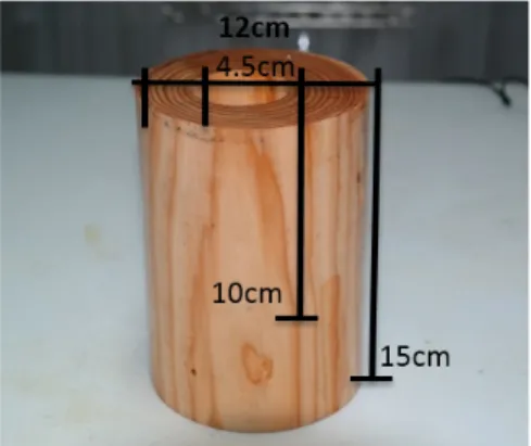 Fig. 1. Shape of Larch Port.