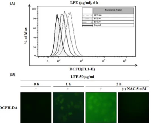 Fig. 2. LFE generated ROS in MCF-7 breast cancer cells. (A) Cells were treated with 50 µ g/ml of LFE and 10 µ M of DCFH-DA