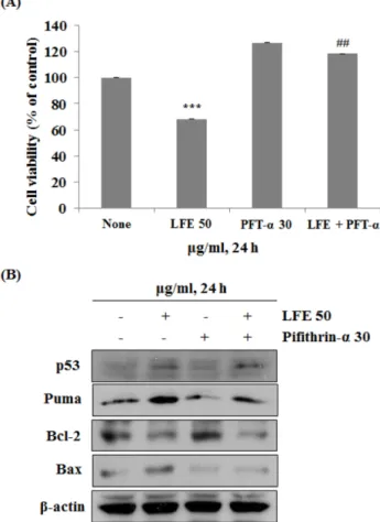 Fig. 3. LFE generated ROS activated p53 as well as other proteins in MCF-7 breast cancer cells