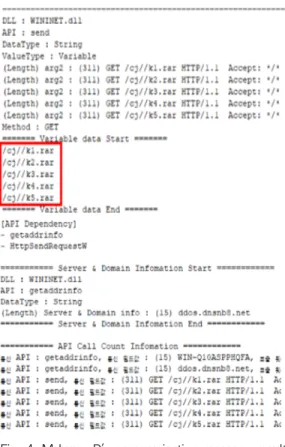 Fig. 4. Malware D's communication message result