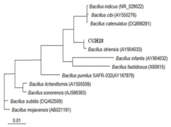 Fig. 2. Scavenging effect of crude extract and its solvent fractions of Bacillus idriensis on authentic ONOO - .