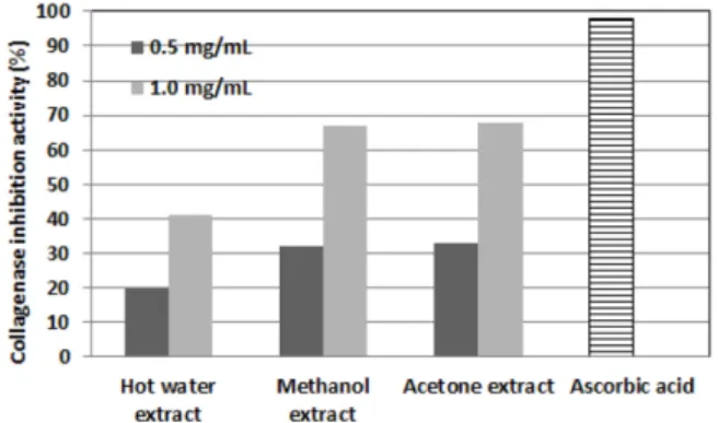 Fig. 9. Effect of rapeseed meal extract on collagenase activity.