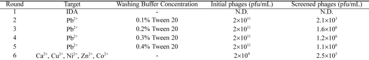 Fig. 1. Overview of biopanning protocol for the selection of specific lead-binding peptides from the phage library.