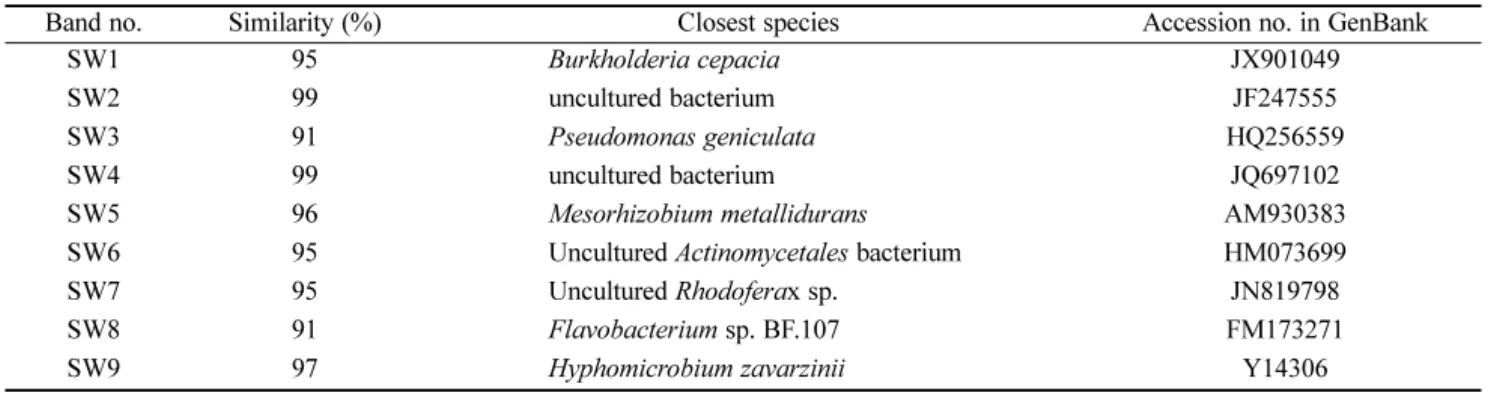 Table 5. Phylogenetic affiliations of 16S rDNA sequences obtained from DGGE bands