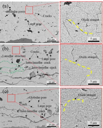 Fig. 7. High magnification SEM images (BSE mode) of APS coating layer (a) A condition (90 o ), (b) B condition (85 o ) and (c) C condition (80 o ).