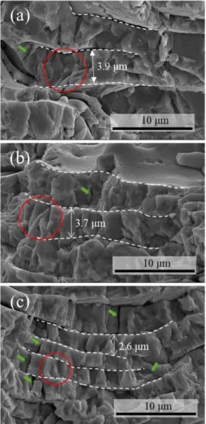 Fig. 8. Fracture surface images of APS coating layers of (a) A condition (90 o ), (b) B condition (85 o ) and (c) C condition (80 o ).