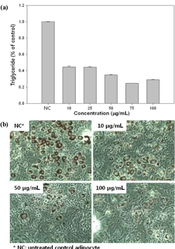 Fig. 2. The effects of Saururus chinensis on adipocyte differentiation  in 3T3-L1 cells