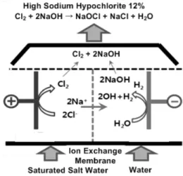 Fig. 1 Model of anodic and cathodic cell기 위해 액화염소는 1 kg을 투입하는 반면, 저농도 차아염소산나트륨은 0.8%의 낮은 농도로 인하여 약 125배인 125 kg을 투입하여야 한다.저농도 차아염소산나트륨 생산설비는 설비의 특성상 고정된 저농도(목표농도 0.8%)의 차아염소산나트륨을 생산하며, 생산과 동시에 소비되는 생산, 투입의 2단계 프로세스로 공정에 적용된다