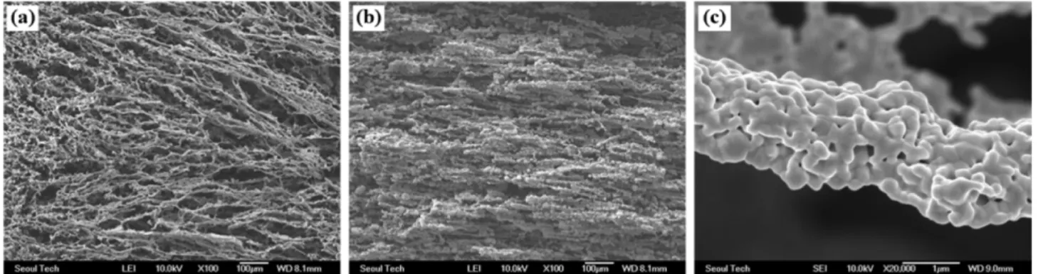 Fig. 3. SEM micrographs of sintered samples obtained after drying for 144 h at -10 o C: (a) WO 3  contents of 5 vol%, (b) 10 vol%