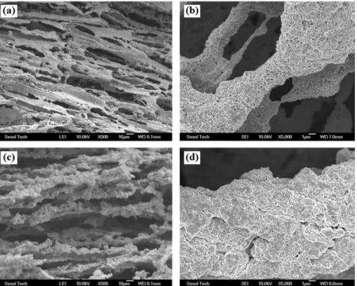 Fig. 5. SEM images of cross section parallel to the tert-butyl alcohol growth direction for the sintered W dried for 144 h at (a and b) -25 o C and (c and d) -10 o C after freezing of 10 vol% WO 3  slurry.