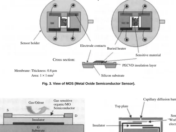 Fig. 4. View of MOSFET (metal oxide semiconductor field effect transistor sensor).