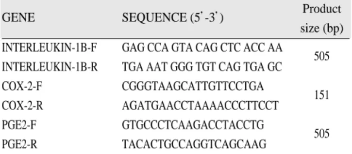 Fig. 5는 interleukin- 1β발현양에 대한 DNA  사진으로서 GAPDH는 house keeping 유전자로서 실험조건을 설정하기 위하여 유전자 발현을 확인하였다