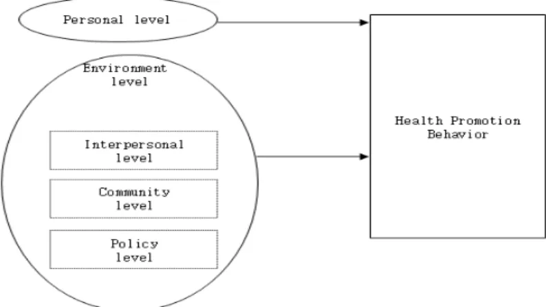 Figure 1. Conceptual framework개인,  지역사회,  집단을  위한  건강증진  방법을  알려주고  건강증진에  방해가  되는  장애물을  제거할  수  있는 구체적인  방법을  제시할  수  있으며  개인과  환경을  구분하여 예방행위를 할 수 있다.그동안  사회생태학적  모형을  이용하여  운동증진,  산업장에서의  건강행위,  영양,  보건소  건강증진프로그램이용향상  등  다양한  연구들에서  개인수준  및  사회환경적인  요