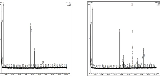 Fig.  1.  Gas  chromatograms  of  the  essential  oils  from  Synurus  deltoides  (Arr.)  Nakai  (left:  fresh,  right:  shade-dreid).