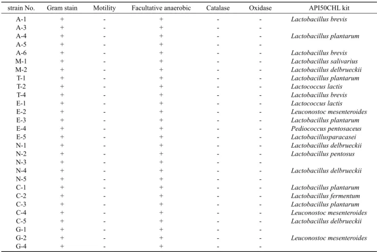 Table 1.Some morphological and biochemical characteristics of lactic acid bacteria from shellfishes