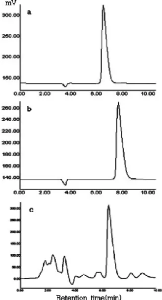 Fig. 1. Determination of the configuration of Lactic acid converted  from pyruvate using HPLC equipped with a chiral column
