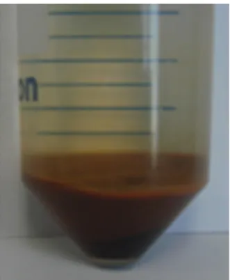 Fig. 1. Photograph of magnetic nanoparticles in aqueous state formed  by co-precipitation method