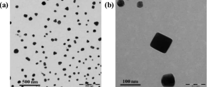 Fig. 5. Atomic analysis of magnetic nanoparticles using FE-TEM  formed by the method of Fig