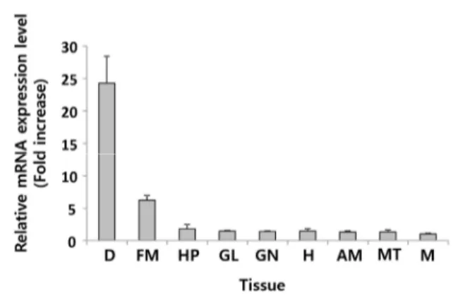 Fig. 4. Tissue-specific mRNA expression of abMIF. Expression 