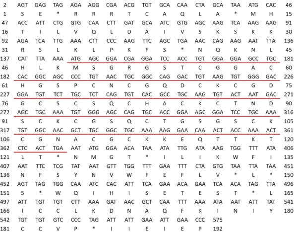 Fig. 1. The metallothionein nucleotide sequence and deduced amino acid sequence of Satsuma myomphala (under line = coding sequence)