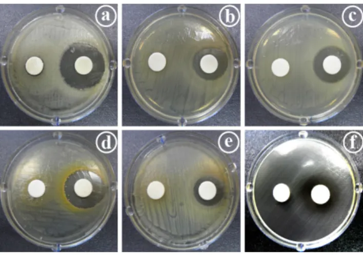 Fig. 5. Survival tests of L. casei HK-9 cells in the different  concentrations of alcohol (%)