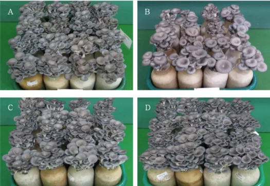 Table 4. Morphological characteristics and yield of oyster mushroom according to different lingo-cellulosic materials Treatment Available stipes 